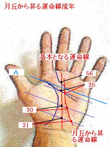 月丘から昇る運命線の流年のとり方について 手相占い 今日の一線 相 楽天ブログ