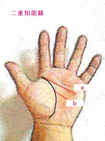 今日の一線 手相講座 第６回 二重知能線 手相占い 今日の一線 相 楽天ブログ