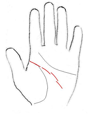 切れ切れになる知能線 幸せになるための手引き ３ 幸せの状態 手相占い 今日の一線 相 楽天ブログ