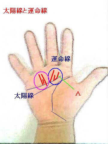 太陽線 運命線 ひとみさんのご質問より 手相占い 今日の一線 相 楽天ブログ