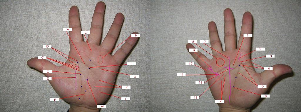 69ページ目の記事一覧 手相占い 今日の一線 相 楽天ブログ