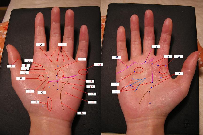 今日の一線 手相講座『公開手相占い』 28歳未婚女性 | 手相占い 『今日の一線（相）』 - 楽天ブログ