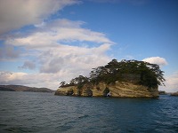 DSCN0767.jpg