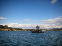 DSCN0773.jpg