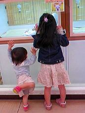 080927_174724ワンワン観察.jpg