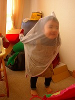 2005-12-08 08:39:31