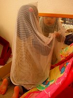 2005-12-08 08:40:04