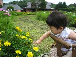 小岩井牧場　　なっちゅとお花