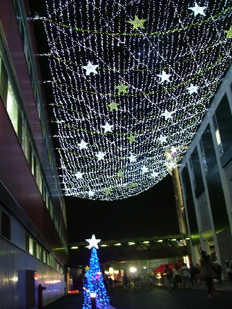 070819フルスタ４イルミネーション