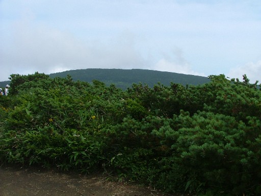 060820杉ケ峰から屏風山頂方面