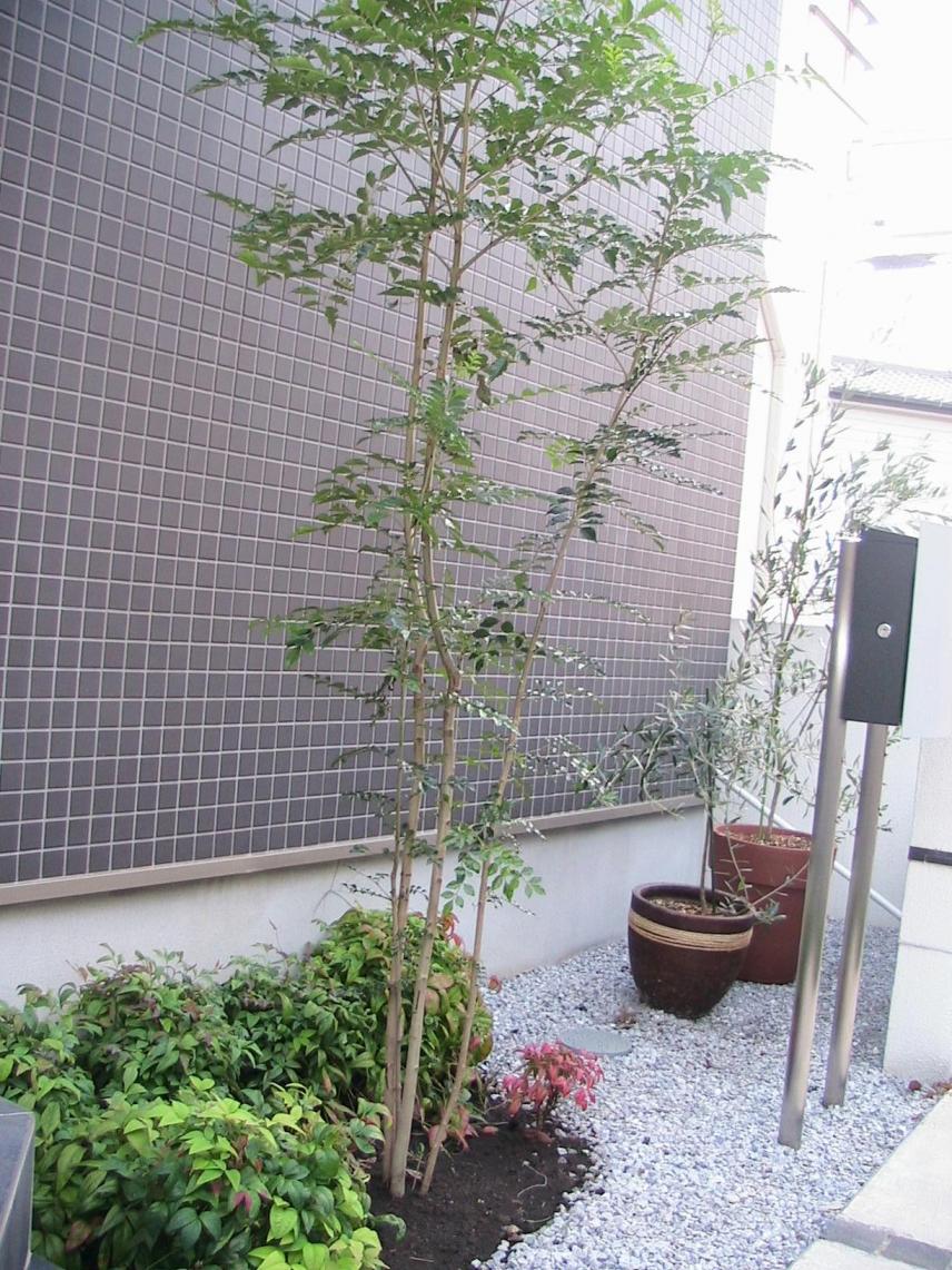 20071016 077.jpg