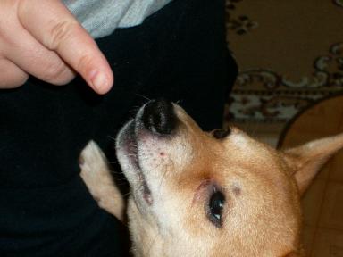 ケーキ頂戴よーーーー