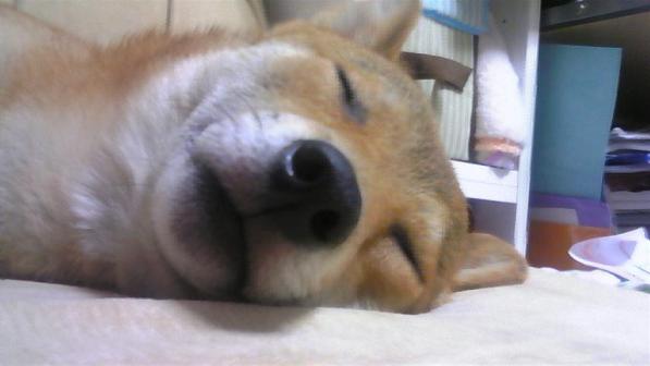 へんな顔＾－＾