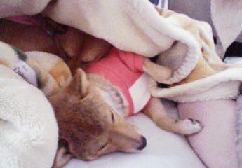 ホントは狭いのよぉぉぉ