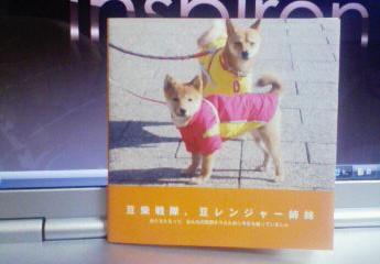 あたちたちの写真集よん♪