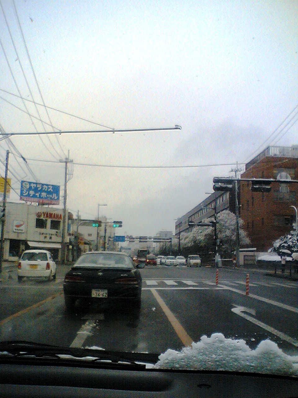 徳島の大雪2