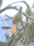 PA0_0046.JPG