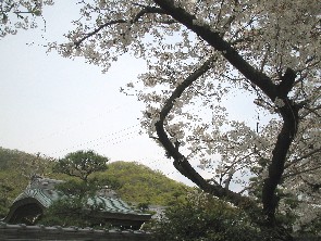 IMG_4406.JPG