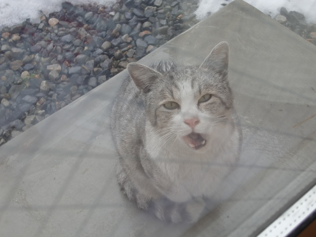 あ”っああ～（ヤンキー風）