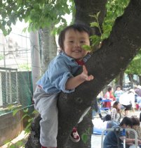 2007.5.20木のぼりみいちゃん