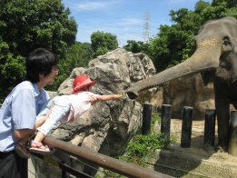 2008.7.7みいちゃん、ぞうさんエサやり