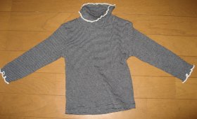 2006.10.29細ボーダーＴ