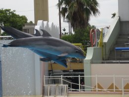 2007.8.23いるかジャンプ