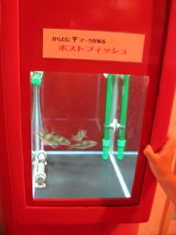2007.8.23ポストフィッシュ