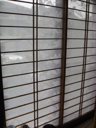 2007.11.26レース障子（シャッター開けて）