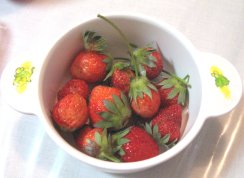 2007.5.16庭のいちご