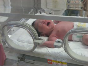 2007.2.2保育器の中のきらちゃん