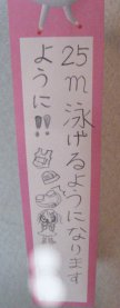 2007.7.6ひかちゃんの短冊