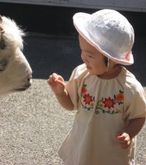 2006.9.25ヤギさんにエサやりしてうれしそう