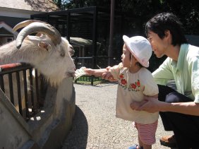 2006.9.25パパとヤギさんにエサやり
