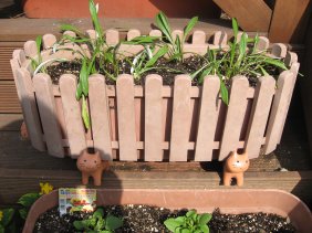 2006.10.231ねこポットフット使ってるところ