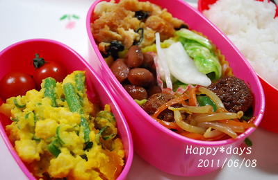 ２０１１年６月８日のお弁当