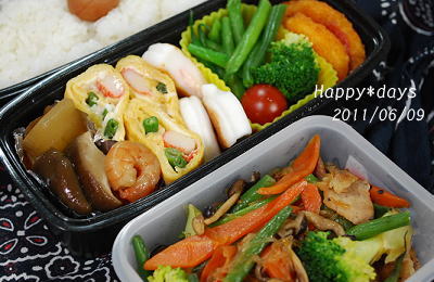 ２０１１年６月９日のお弁当