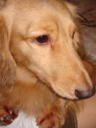 DSC00010.JPG
