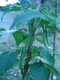 DSC02327.jpg