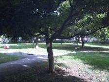 0908049.jpg