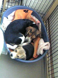 06-01-20_16-0502.jpg