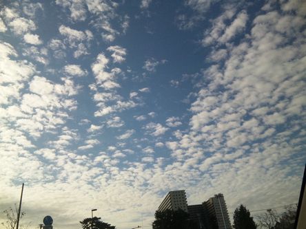 台風一過の空＠運転中にパチリ