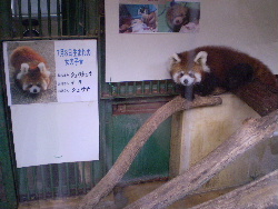 動物園２.JPG