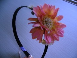 P1040793-1.JPG