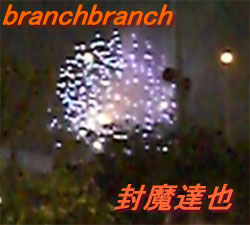 天神祭奉納花火3