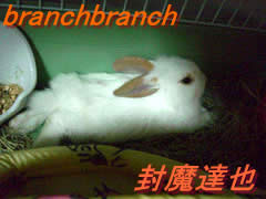 バニラくつろぎシーン