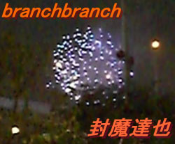 天神祭奉納花火5