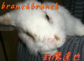 【31】生後3ヶ月が経過