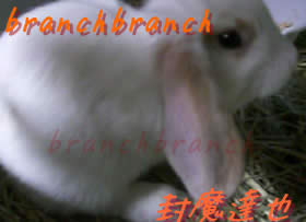 【32】生後3ヶ月が経過2