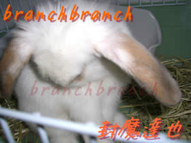 【33】生後3ヶ月が経過3